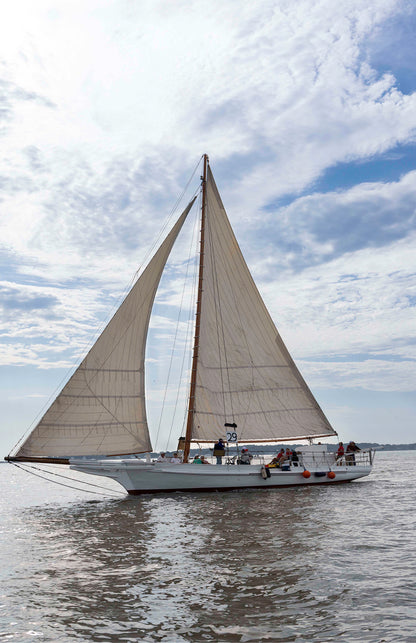2023 Deal Island Skipjack Races - Return of the Ruark -- Digital Print