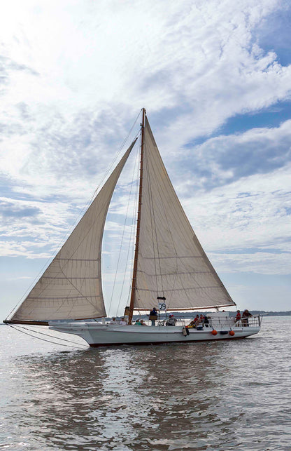 2023 Deal Island Skipjack Races - Return of the Ruark -- Digital Print