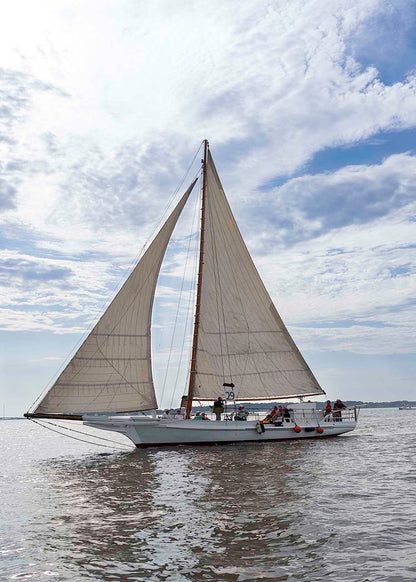 2023 Deal Island Skipjack Races - Return of the Ruark -- Digital Print