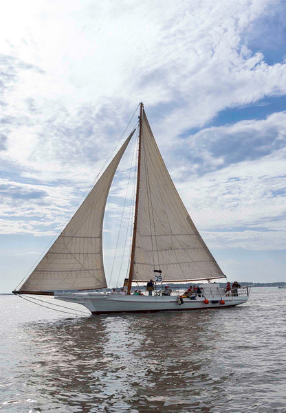 2023 Deal Island Skipjack Races - Return of the Ruark -- Digital Print