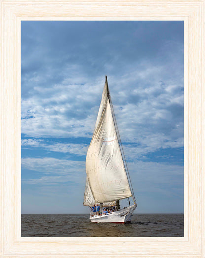 2023 Deal Island Skipjack Races - The Fannie Dougherty -- Digital Print