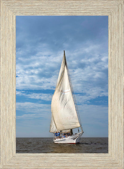 2023 Deal Island Skipjack Races - The Fannie Dougherty -- Digital Print