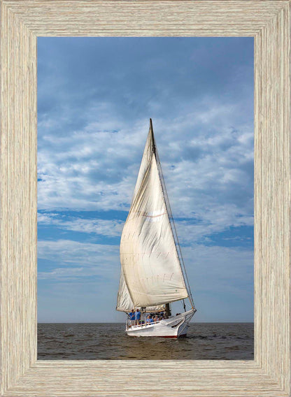 2023 Deal Island Skipjack Races - The Fannie Dougherty -- Digital Print