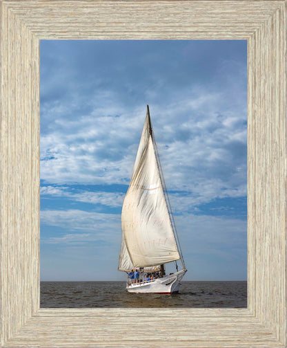 2023 Deal Island Skipjack Races - The Fannie Dougherty -- Digital Print