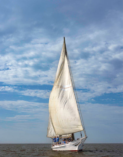 2023 Deal Island Skipjack Races - The Fannie Dougherty -- Digital Print