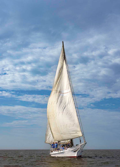 2023 Deal Island Skipjack Races - The Fannie Dougherty -- Digital Print