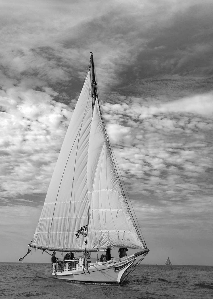 2023 Deal Island Skipjack Races - The Nathan of Dorchester Starboard Bow