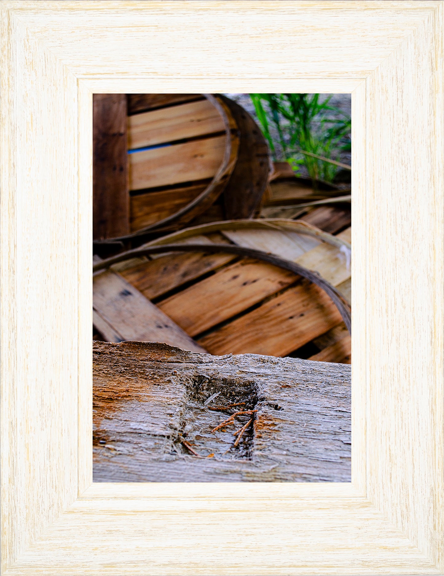 Abandoned Lids -- Digital Print