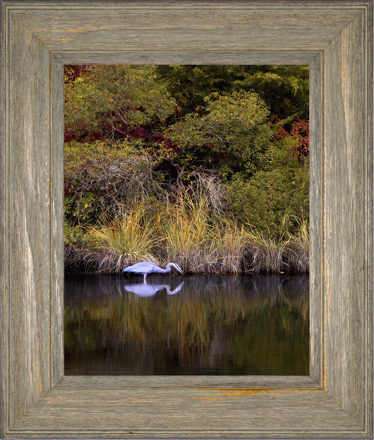 Cadle Creek Heron Striking (Portrait) -- Digital Print