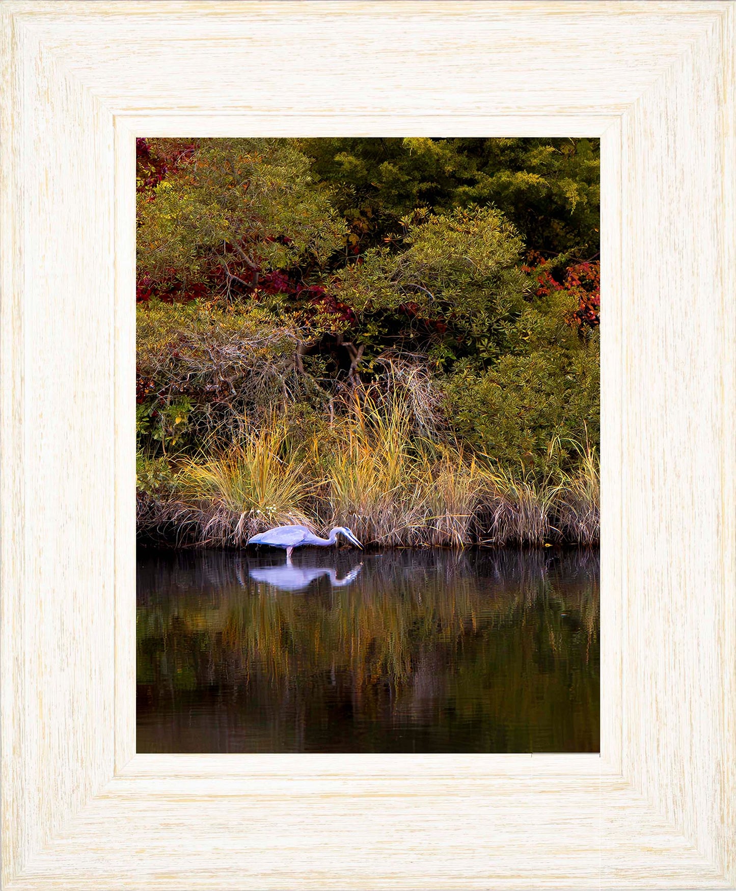 Cadle Creek Heron Striking (Portrait) -- Digital Print