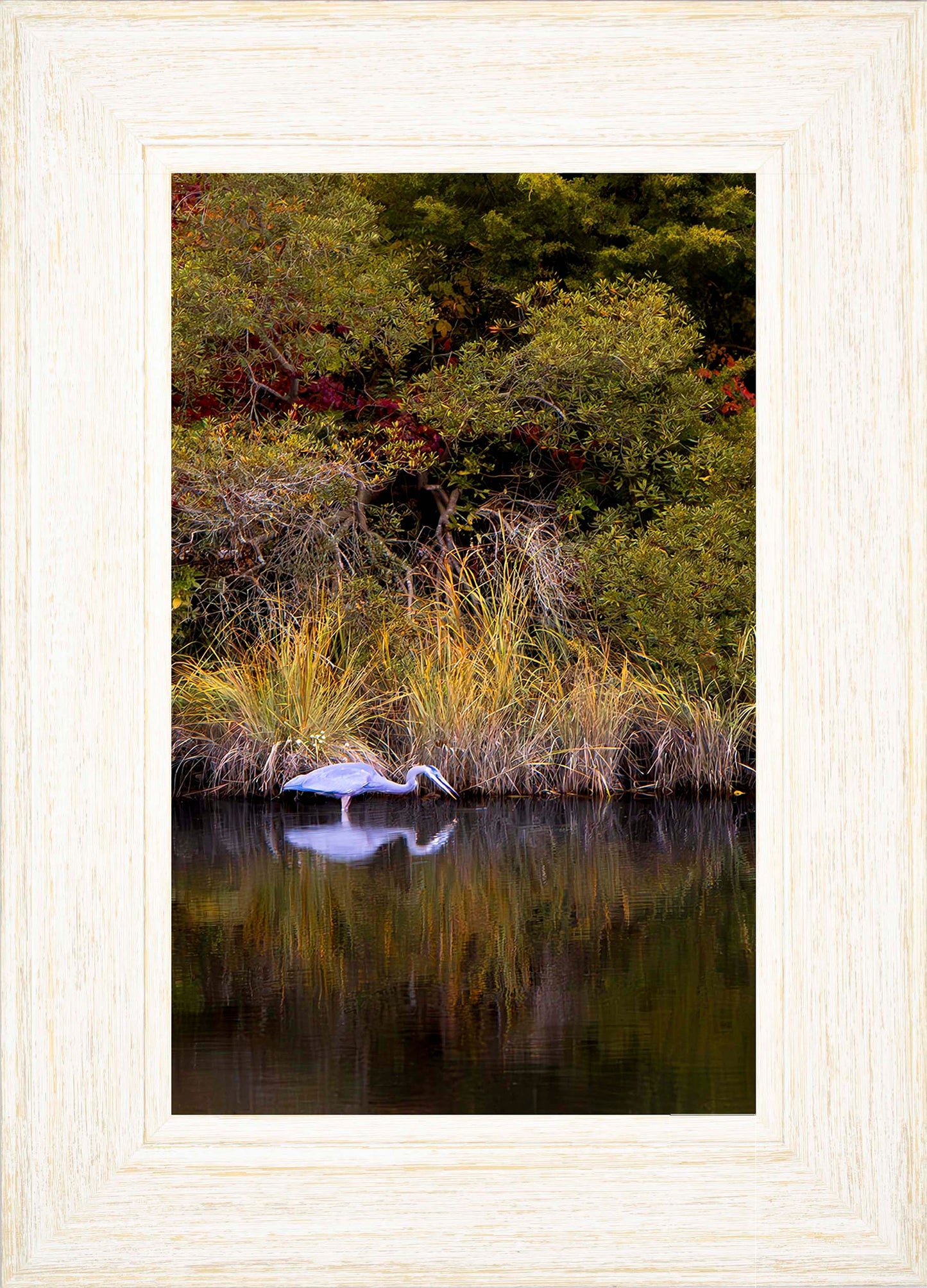 Cadle Creek Heron Striking (Portrait) -- Digital Print