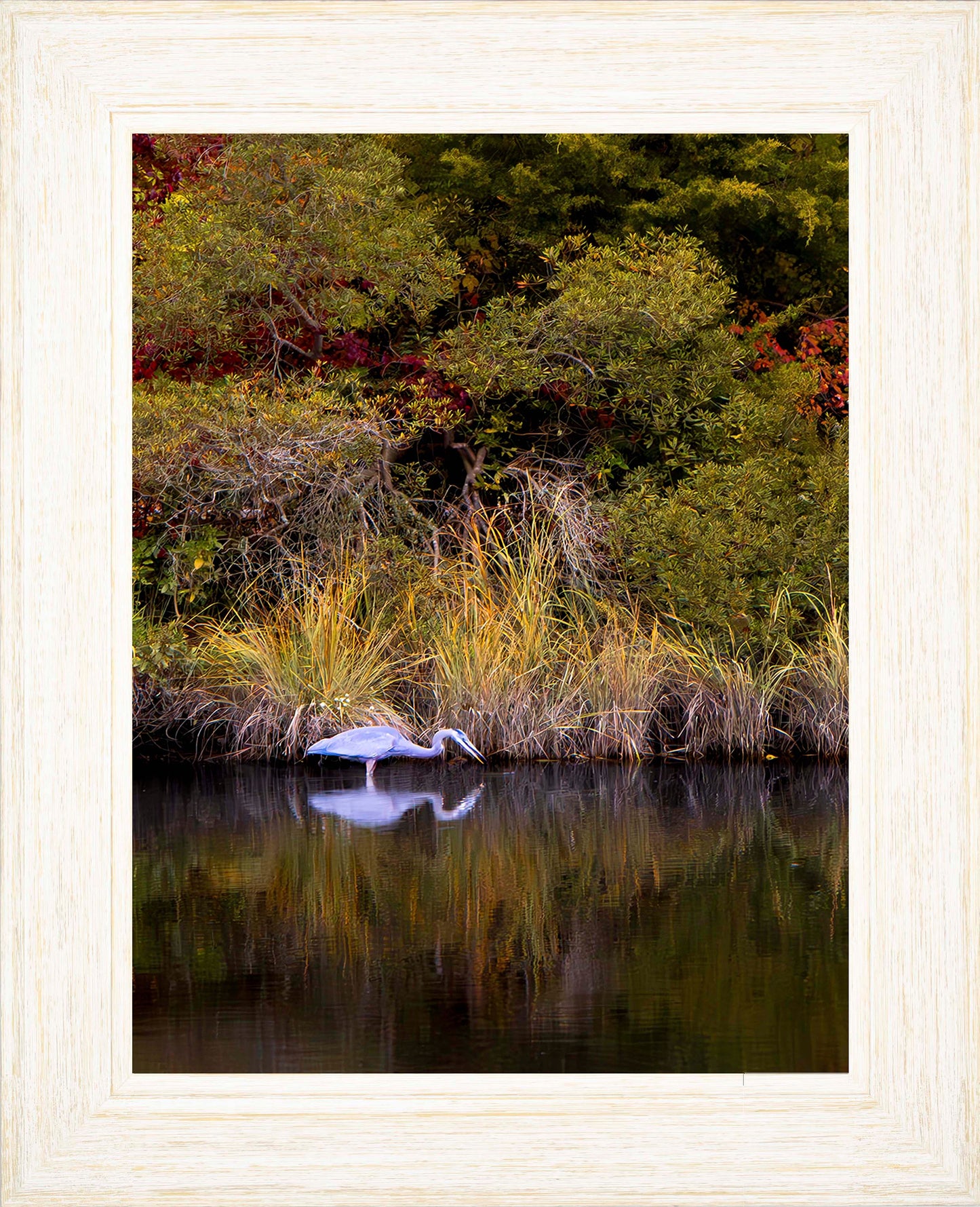 Cadle Creek Heron Striking (Portrait) -- Digital Print
