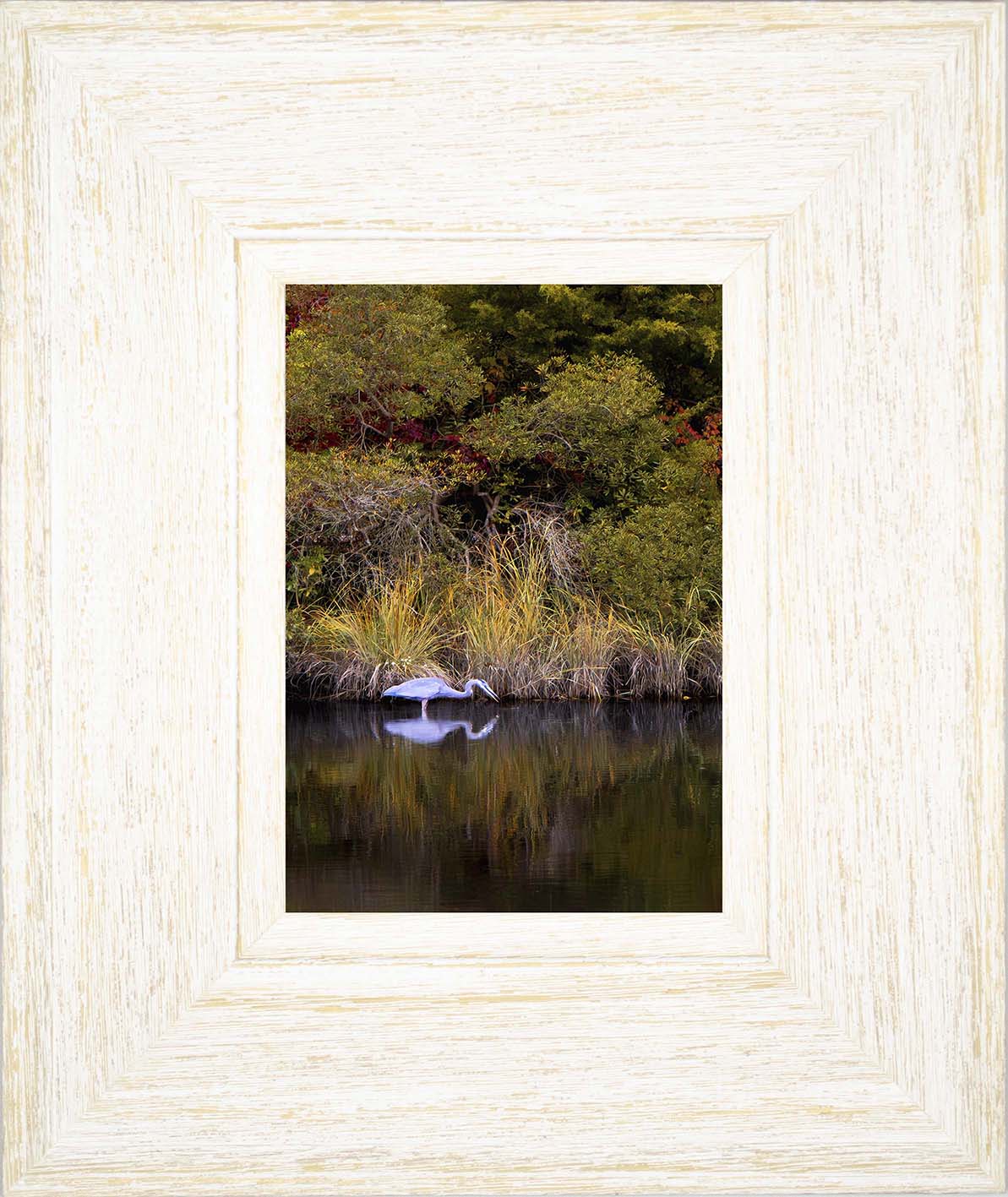 Cadle Creek Heron Striking (Portrait) -- Digital Print