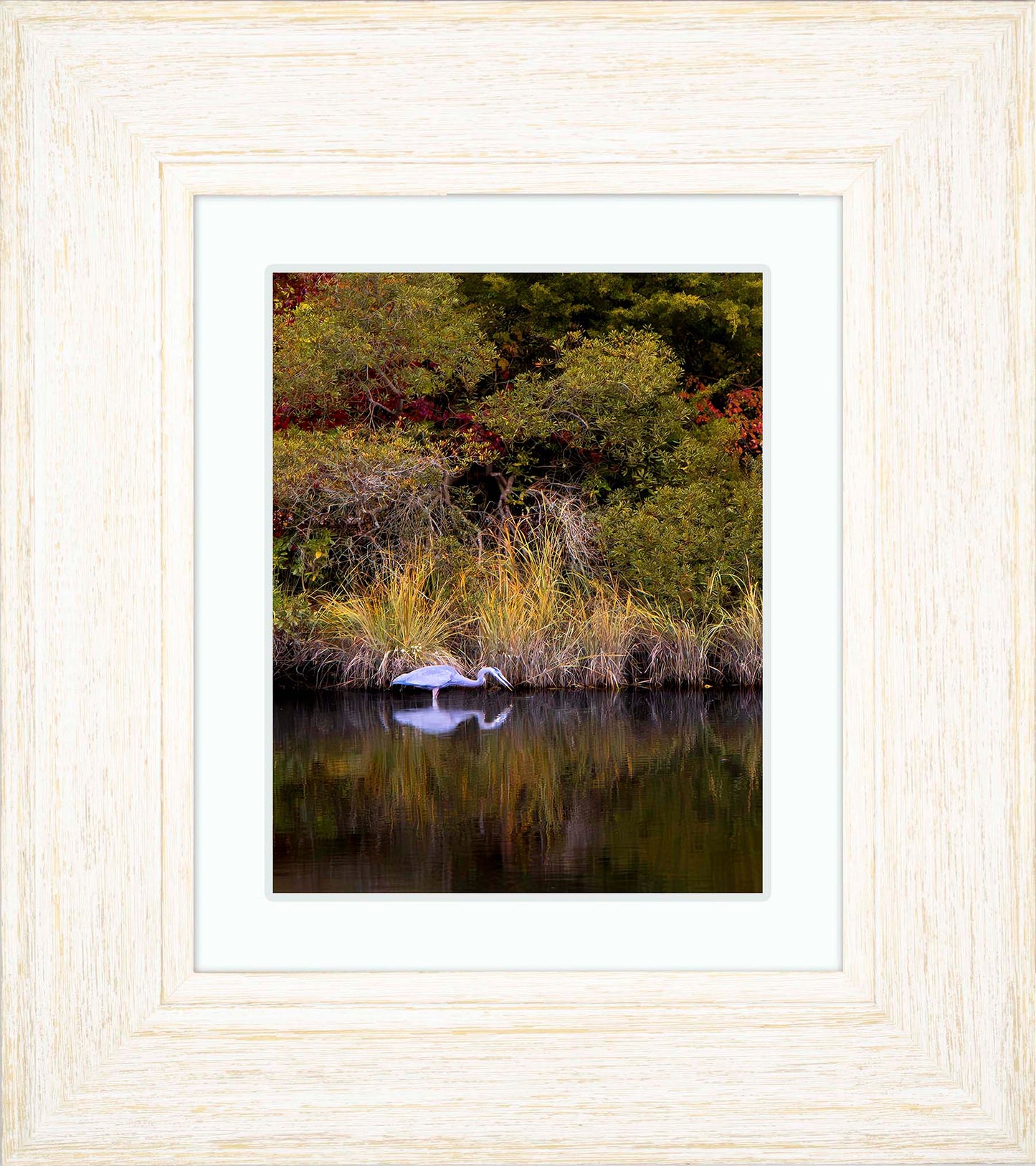 Cadle Creek Heron Striking (Portrait) -- Digital Print