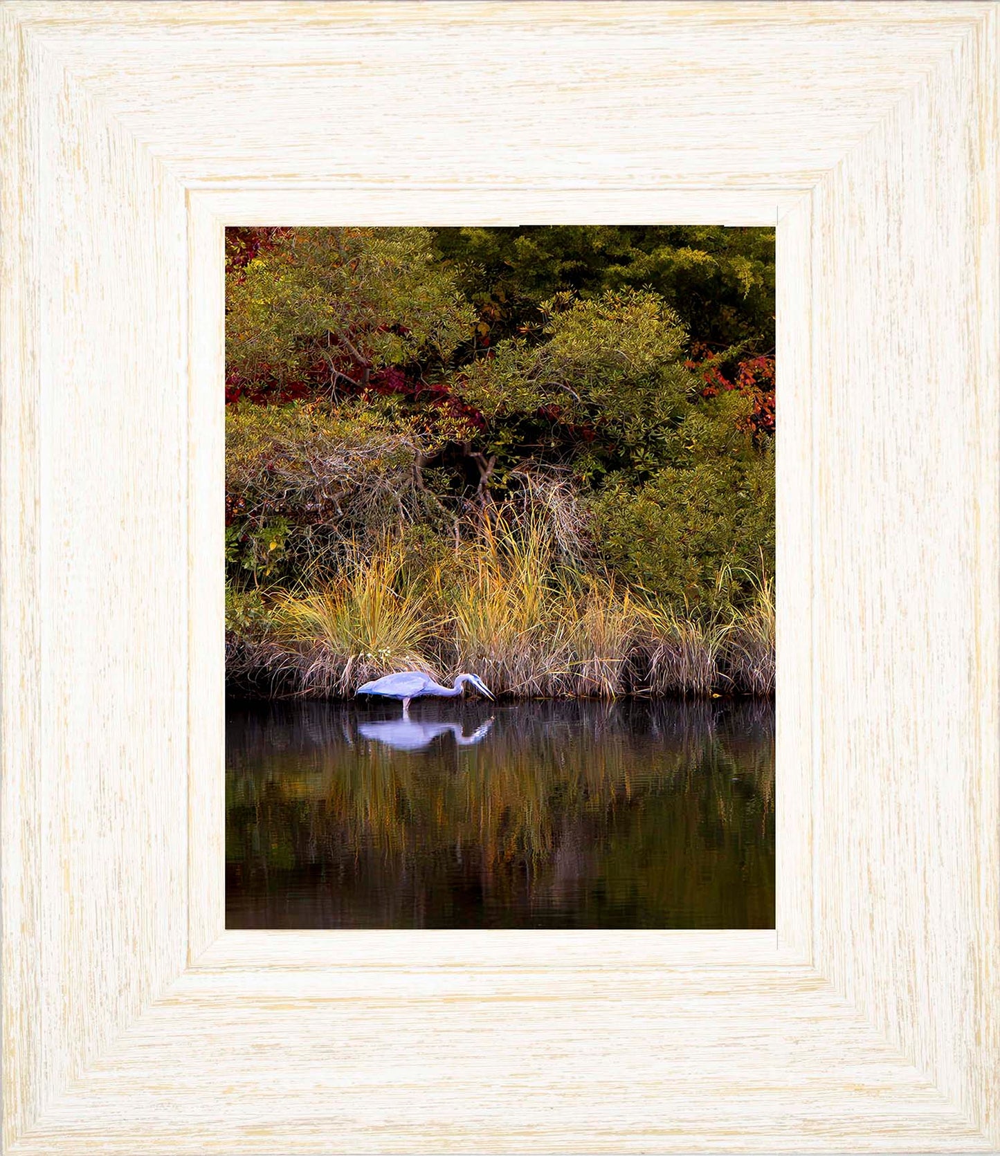 Cadle Creek Heron Striking (Portrait) -- Digital Print