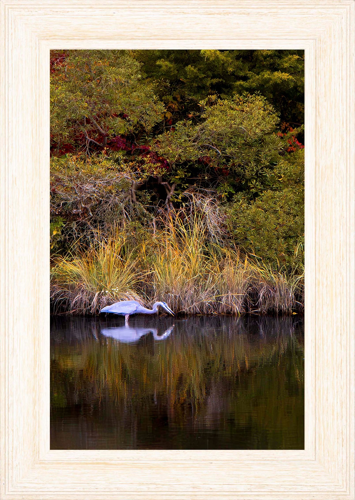 Cadle Creek Heron Striking (Portrait) -- Digital Print