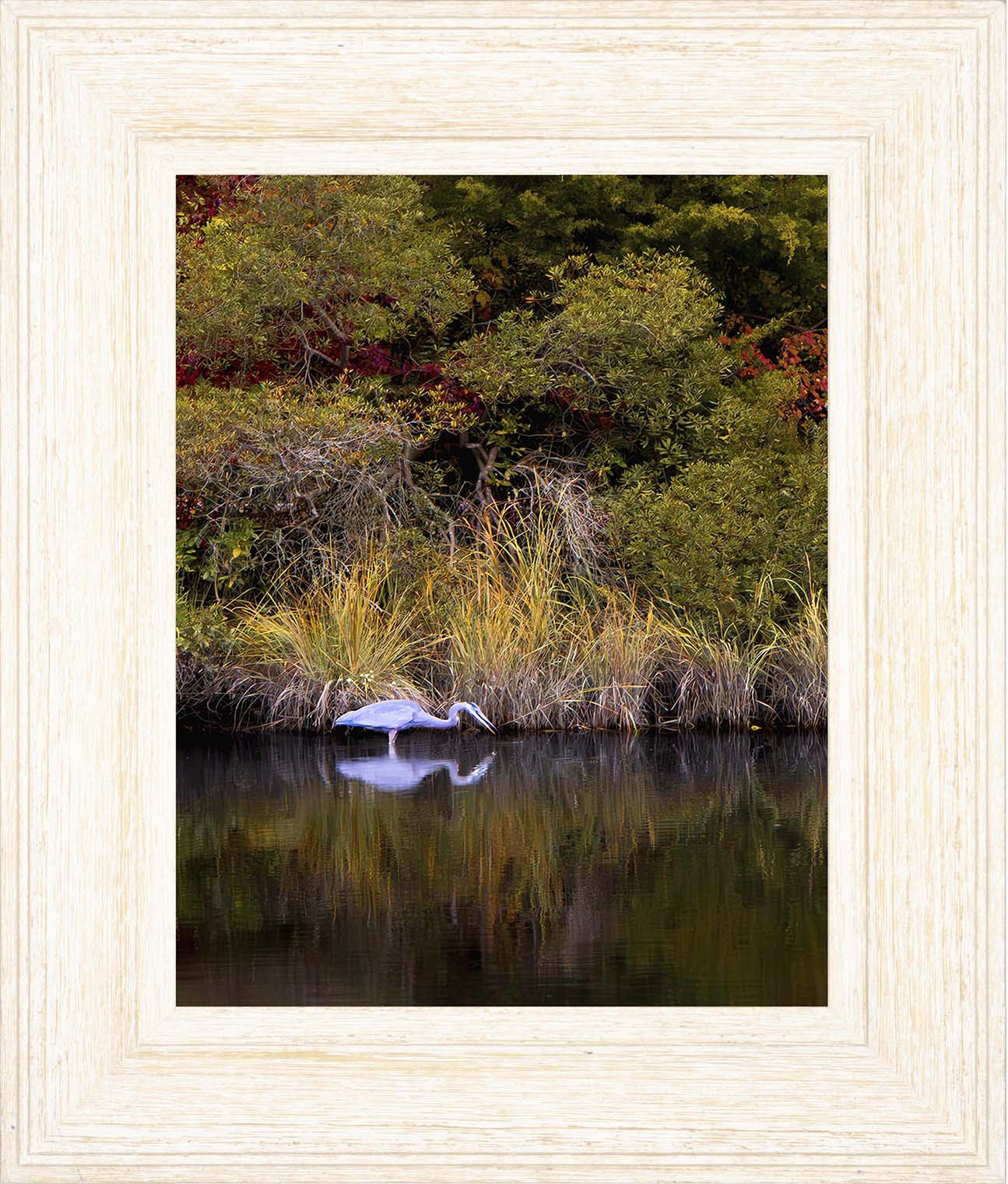 Cadle Creek Heron Striking (Portrait) -- Digital Print