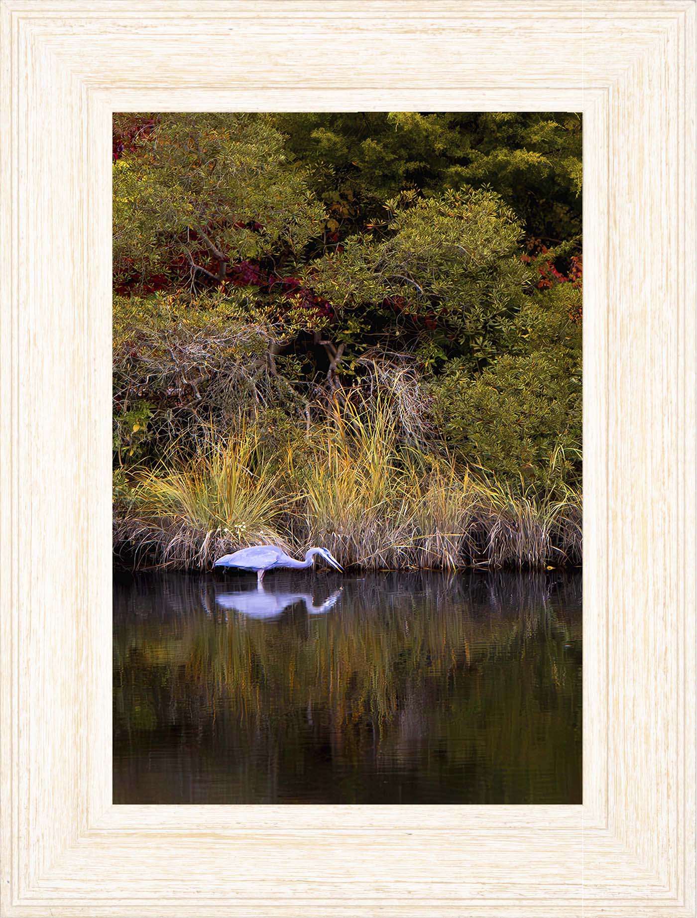 Cadle Creek Heron Striking (Portrait) -- Digital Print