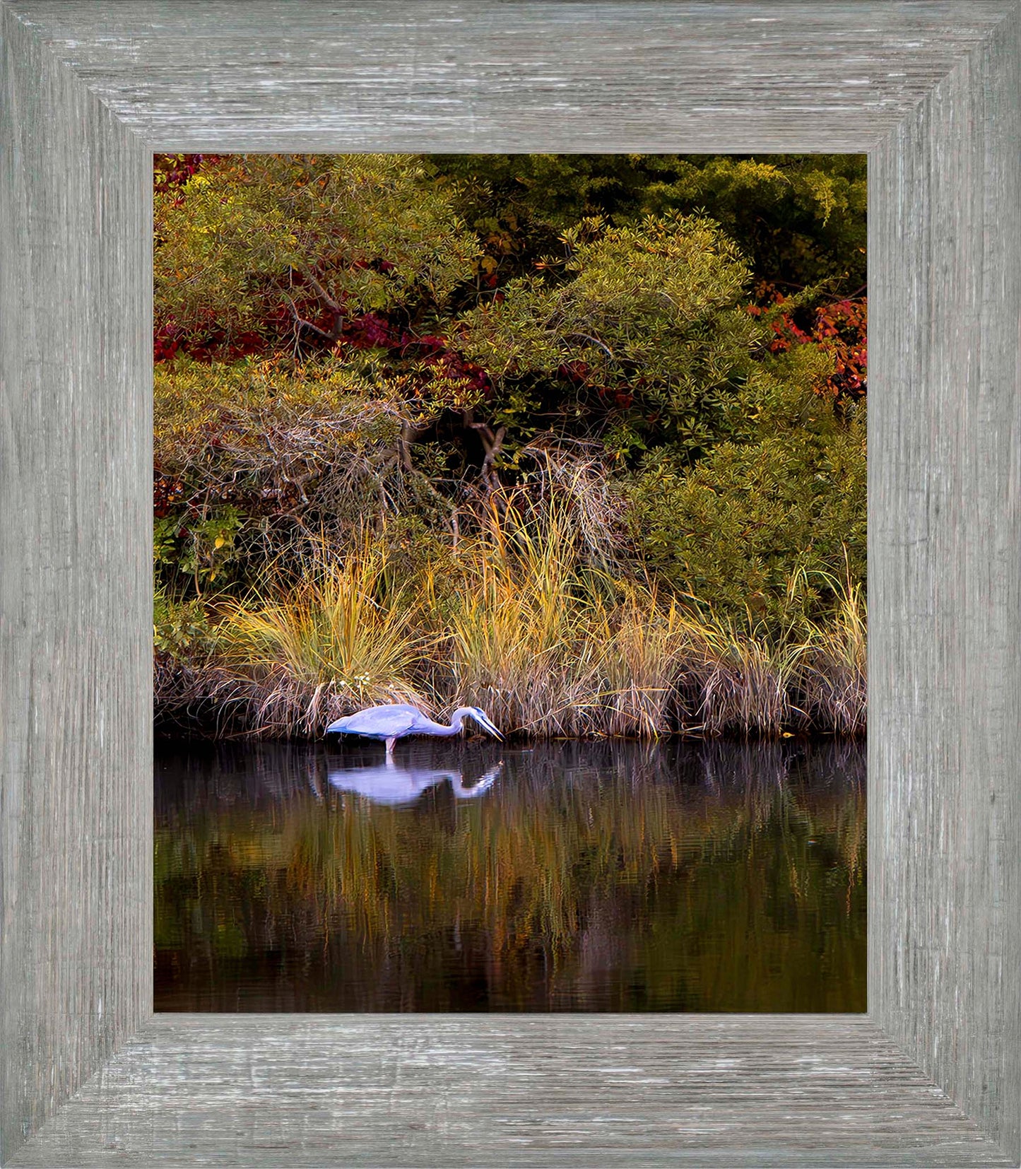 Cadle Creek Heron Striking (Portrait) -- Digital Print