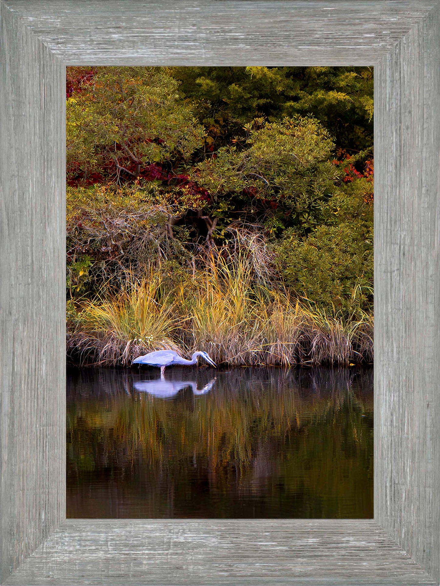 Cadle Creek Heron Striking (Portrait) -- Digital Print