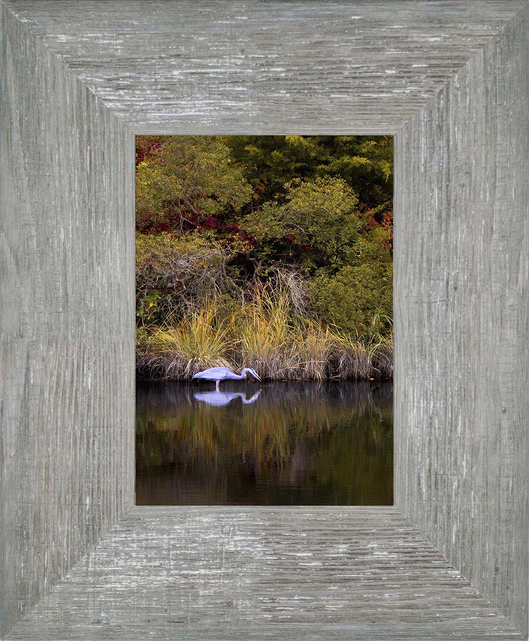 Cadle Creek Heron Striking (Portrait) -- Digital Print