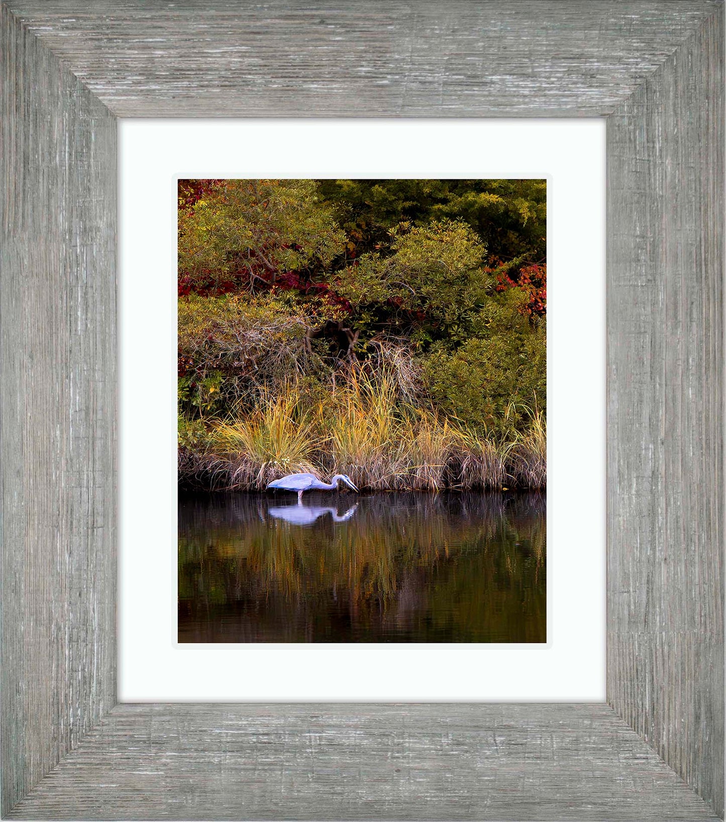 Cadle Creek Heron Striking (Portrait) -- Digital Print
