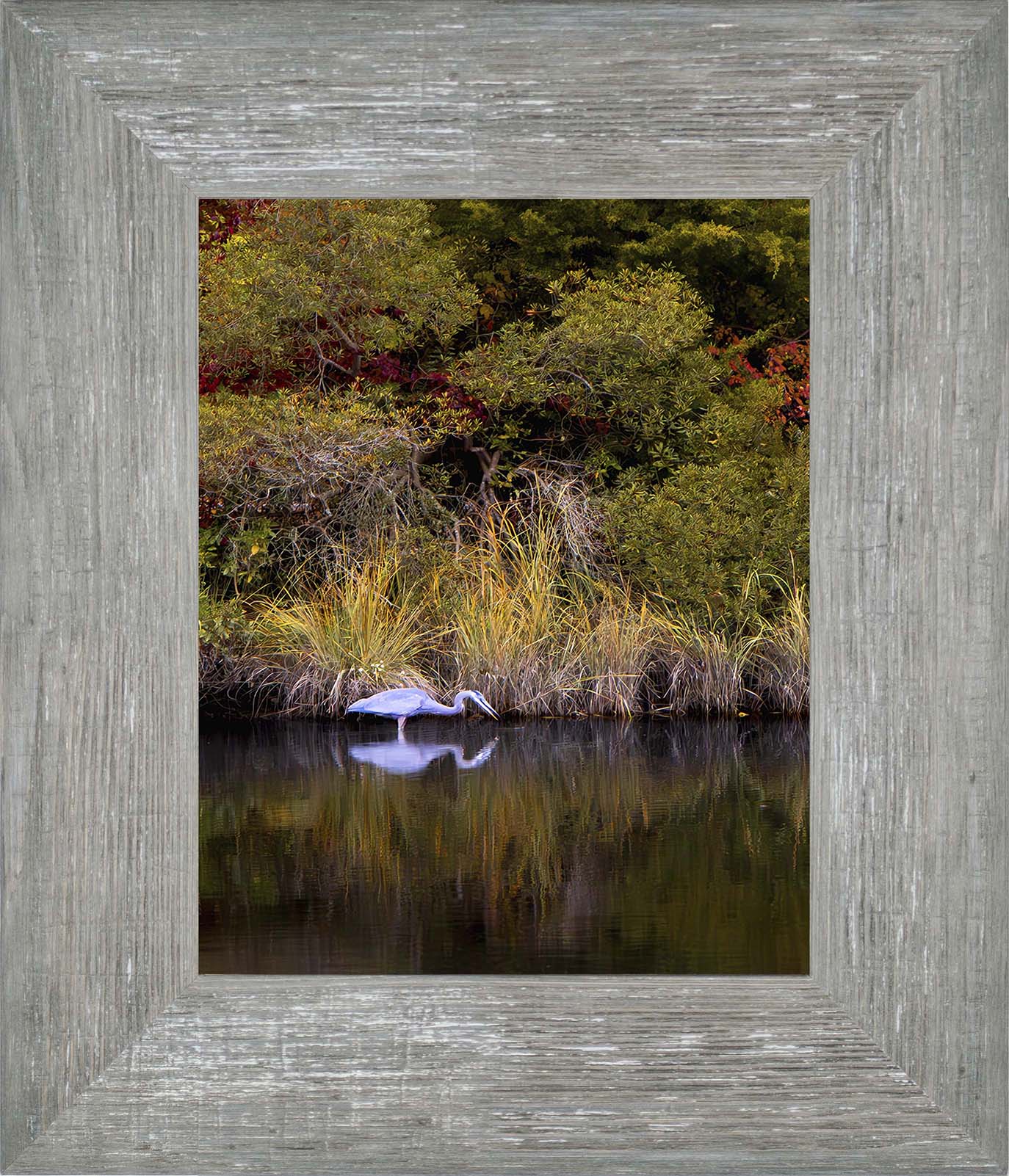Cadle Creek Heron Striking (Portrait) -- Digital Print