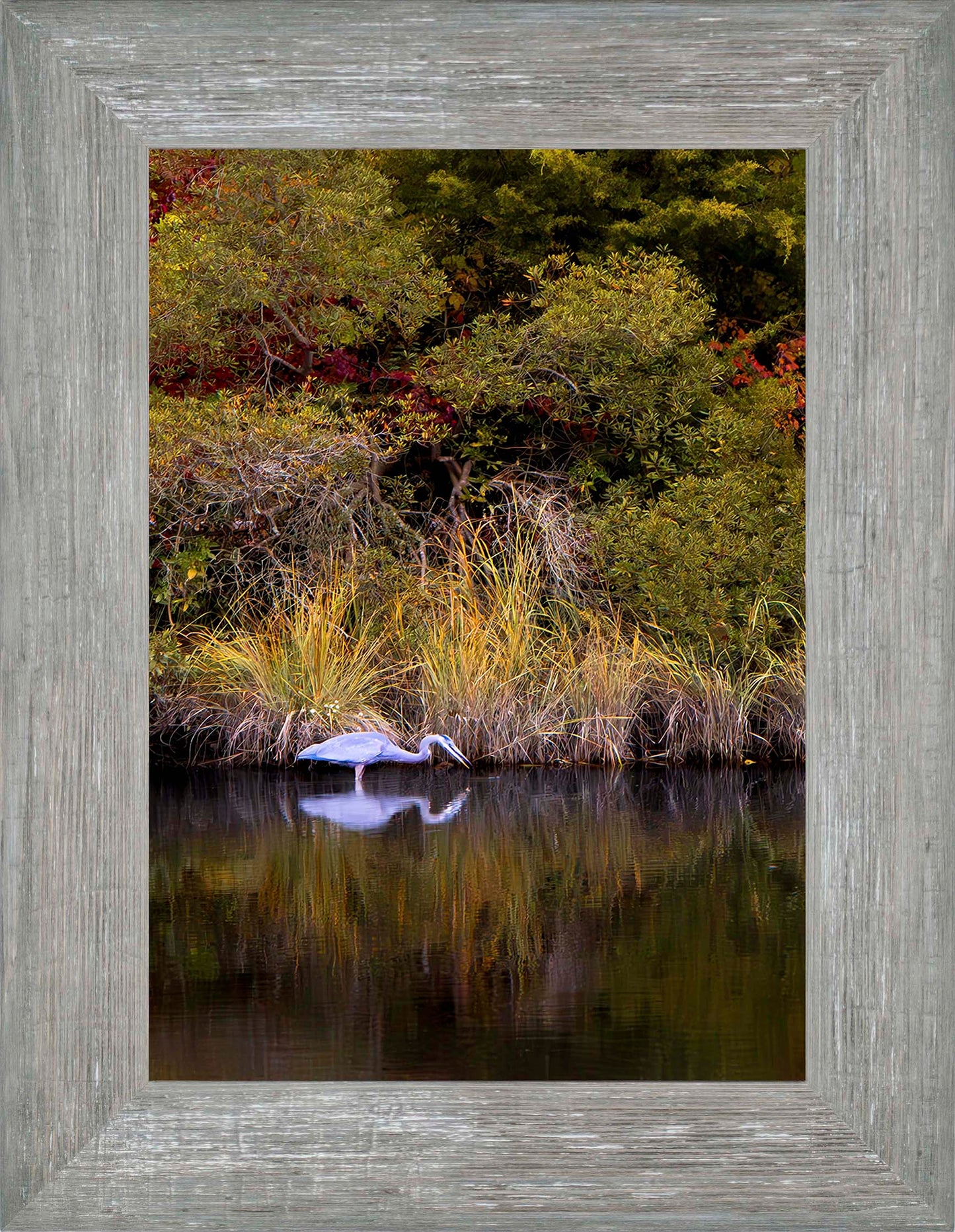 Cadle Creek Heron Striking (Portrait) -- Digital Print