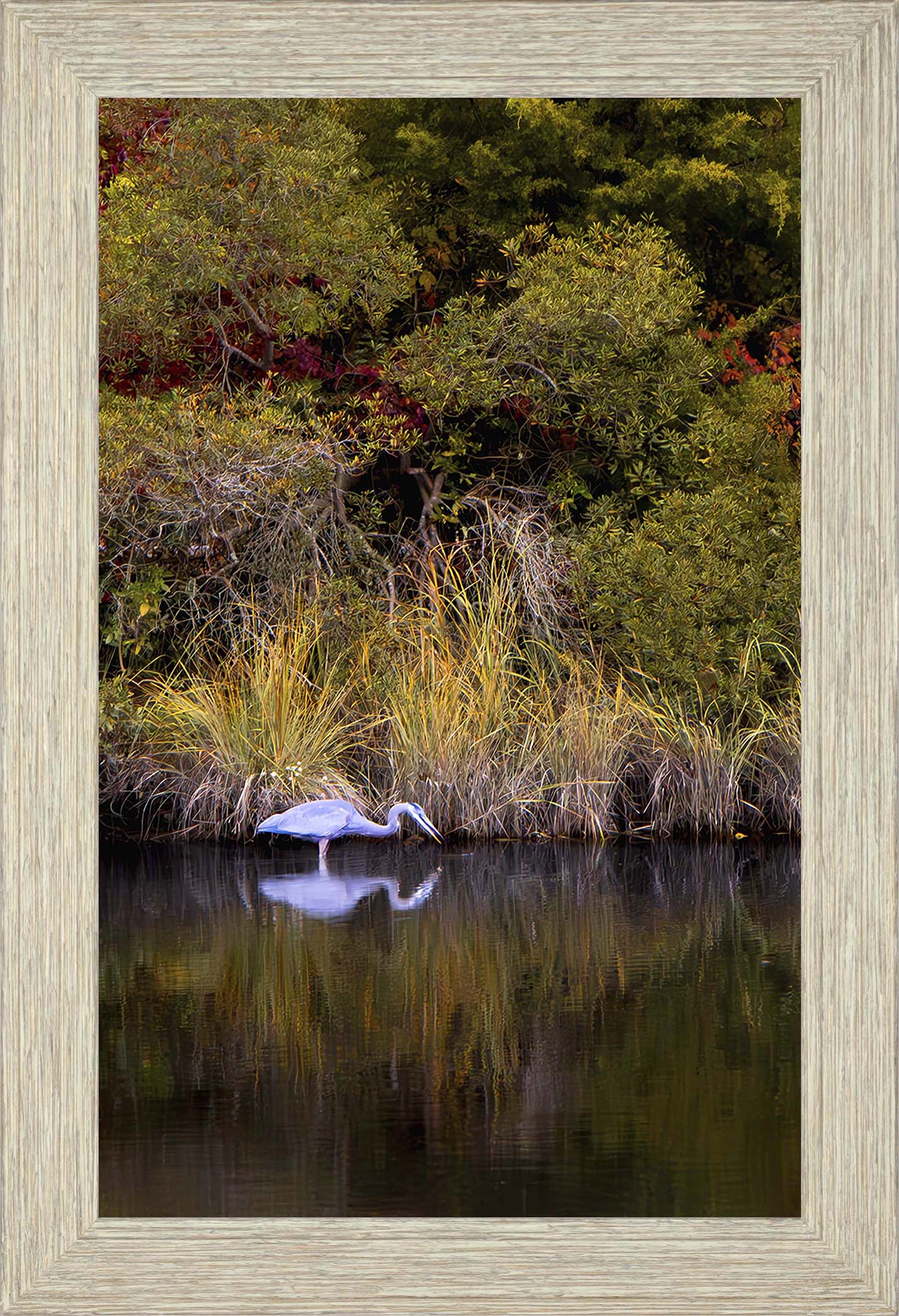 Cadle Creek Heron Striking (Portrait) -- Digital Print