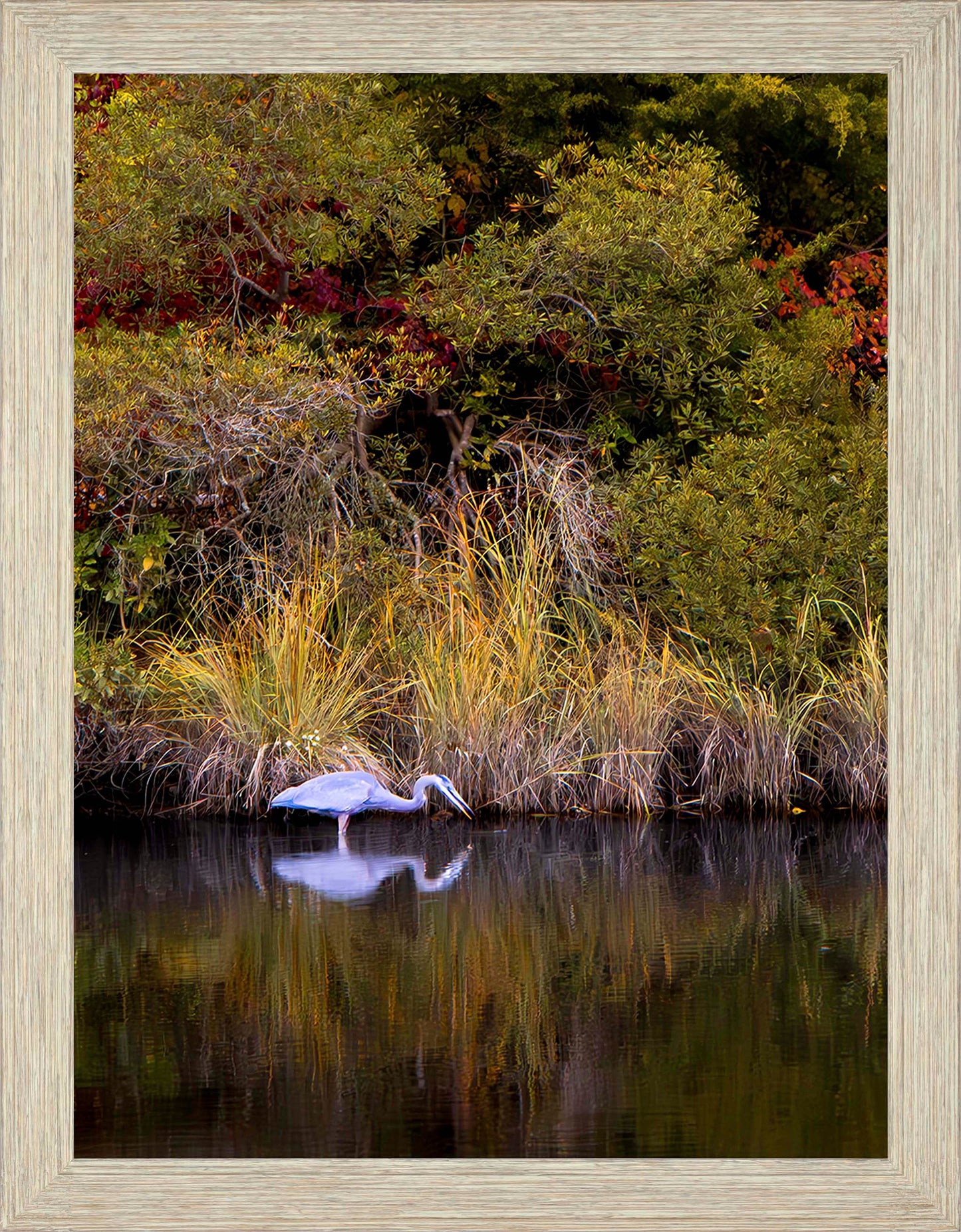 Cadle Creek Heron Striking (Portrait) -- Digital Print