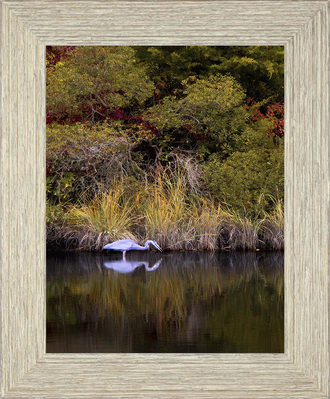 Cadle Creek Heron Striking (Portrait) -- Digital Print