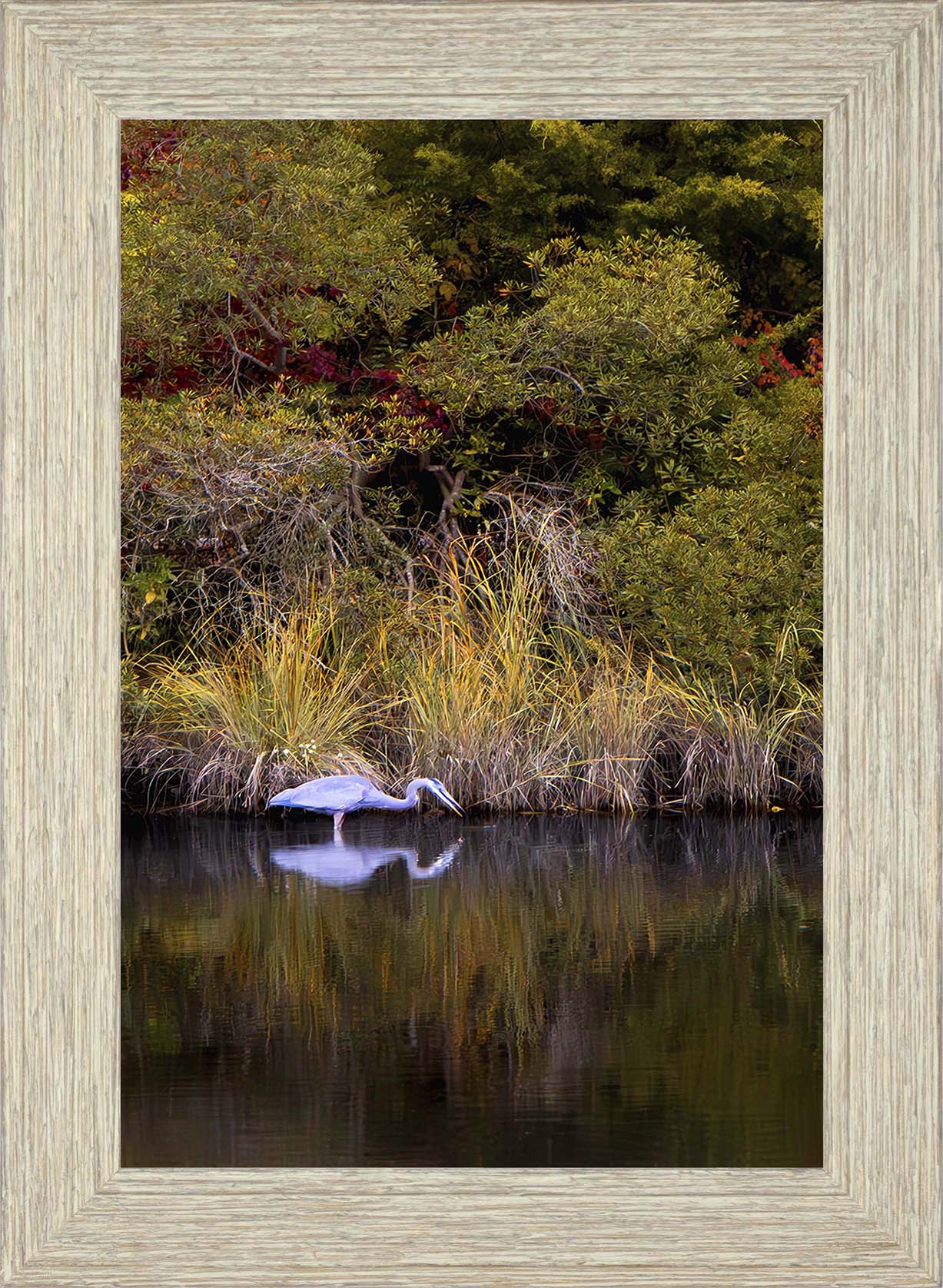 Cadle Creek Heron Striking (Portrait) -- Digital Print
