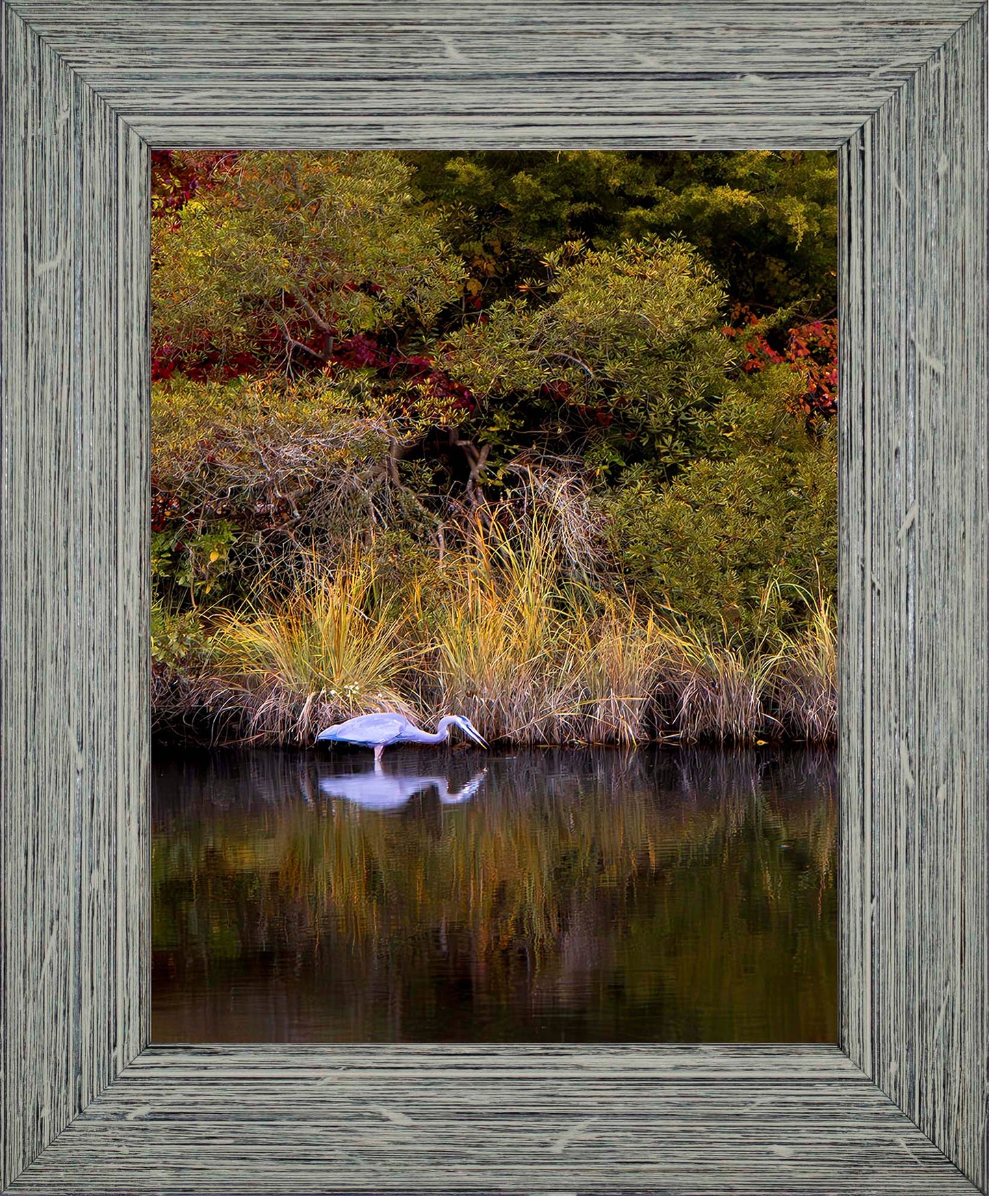Cadle Creek Heron Striking (Portrait) -- Digital Print