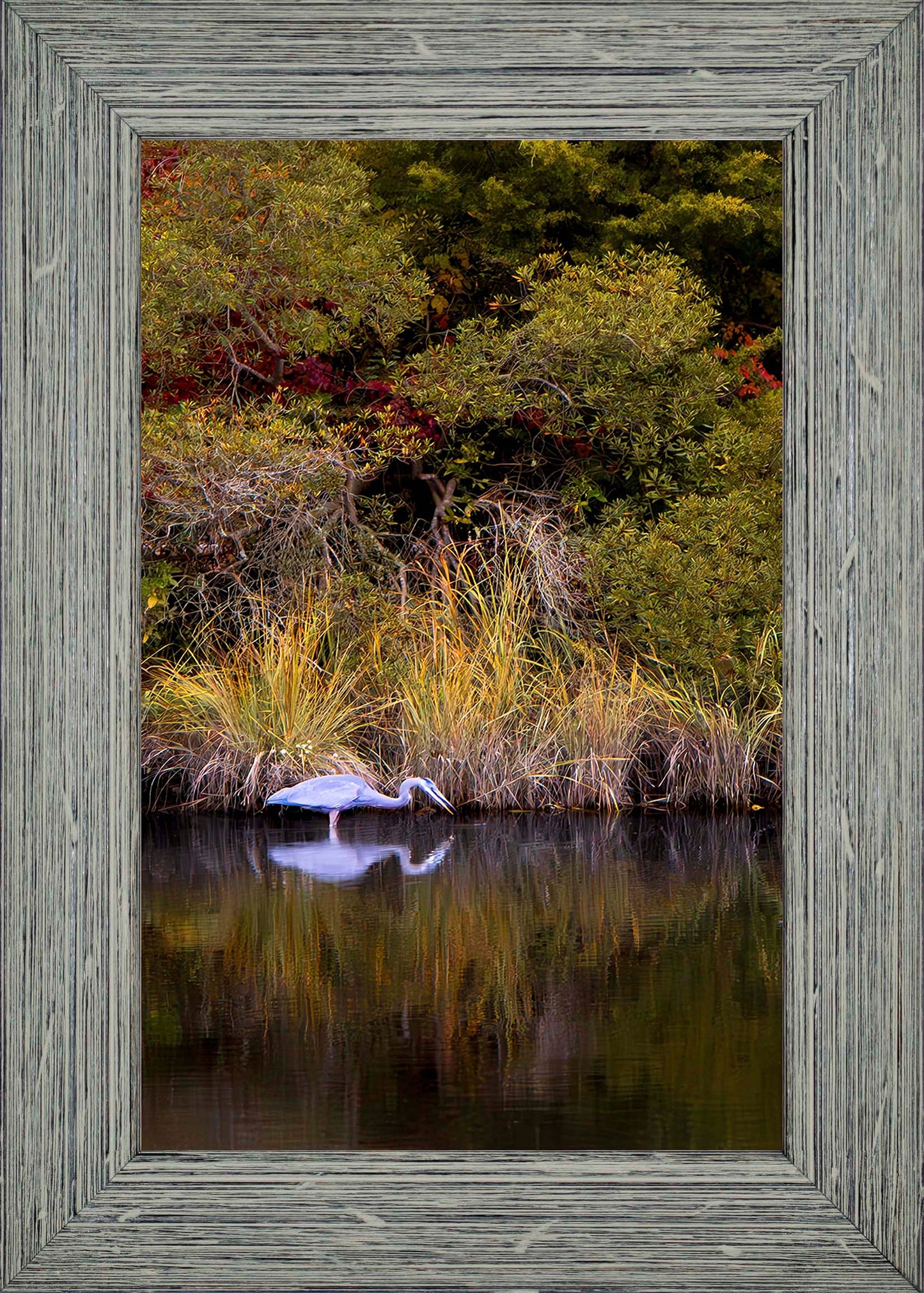 Cadle Creek Heron Striking (Portrait) -- Digital Print