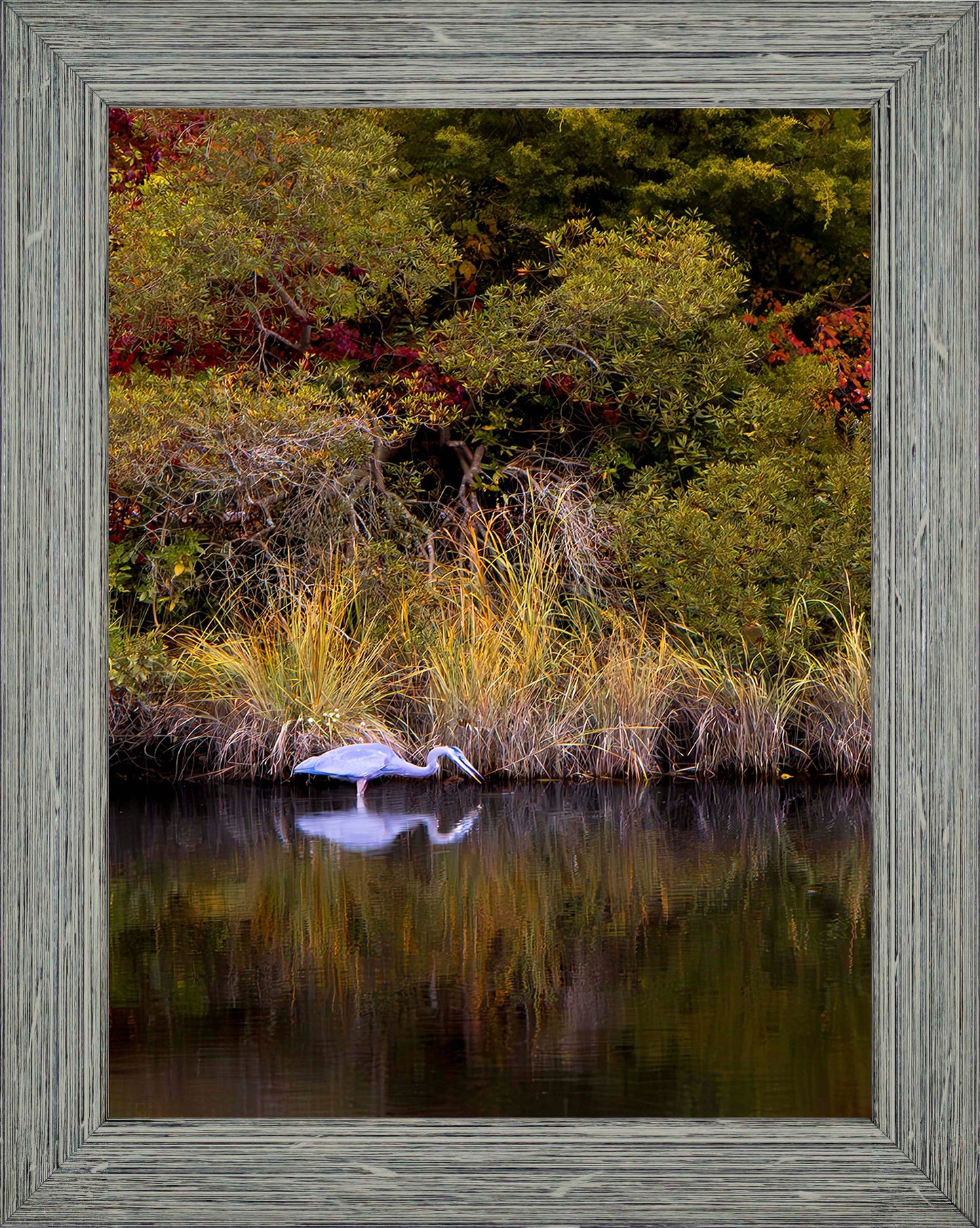 Cadle Creek Heron Striking (Portrait) -- Digital Print
