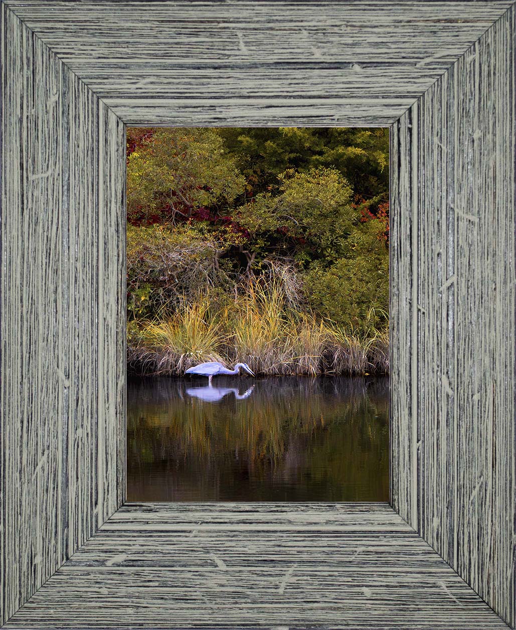 Cadle Creek Heron Striking (Portrait) -- Digital Print