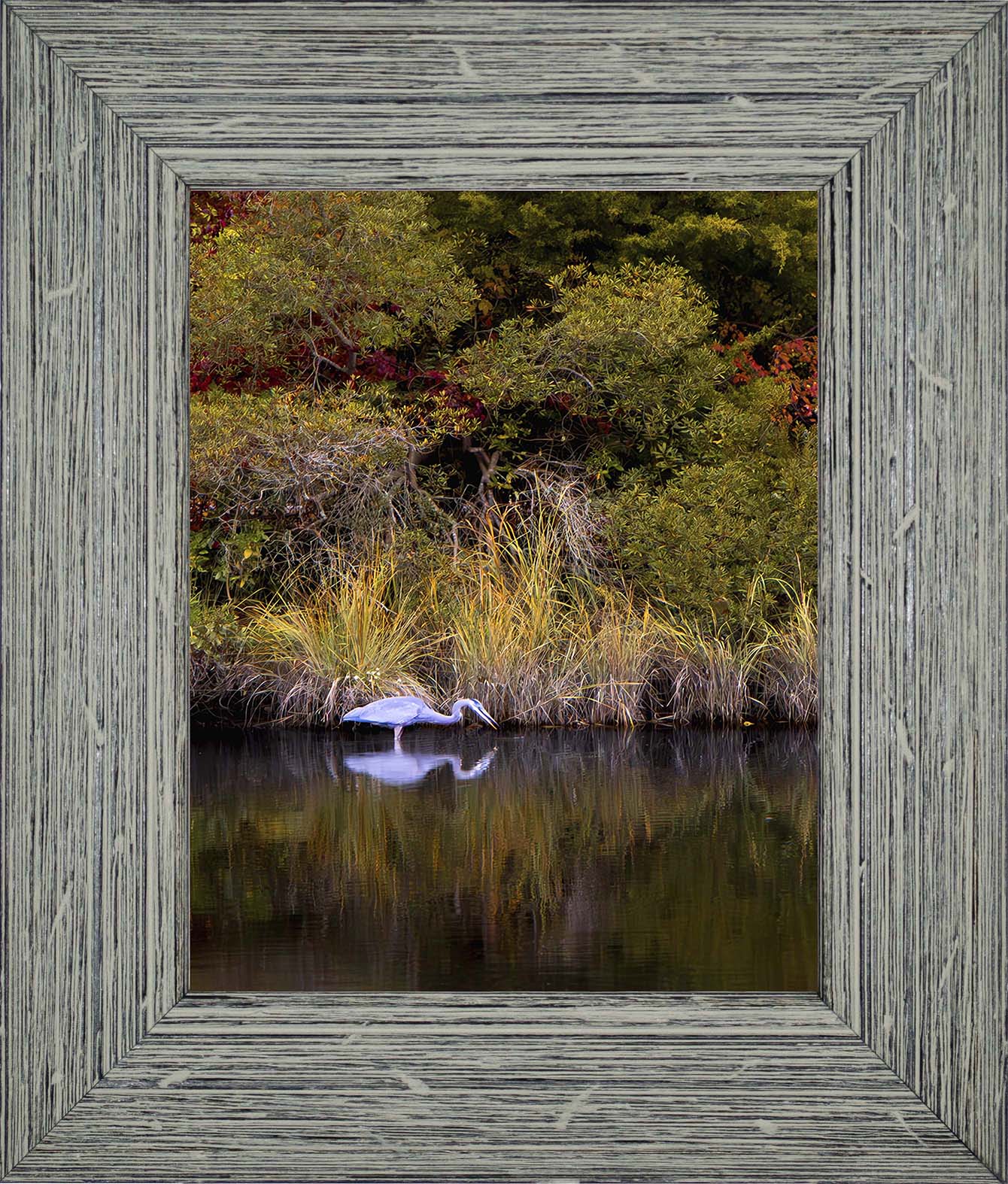 Cadle Creek Heron Striking (Portrait) -- Digital Print