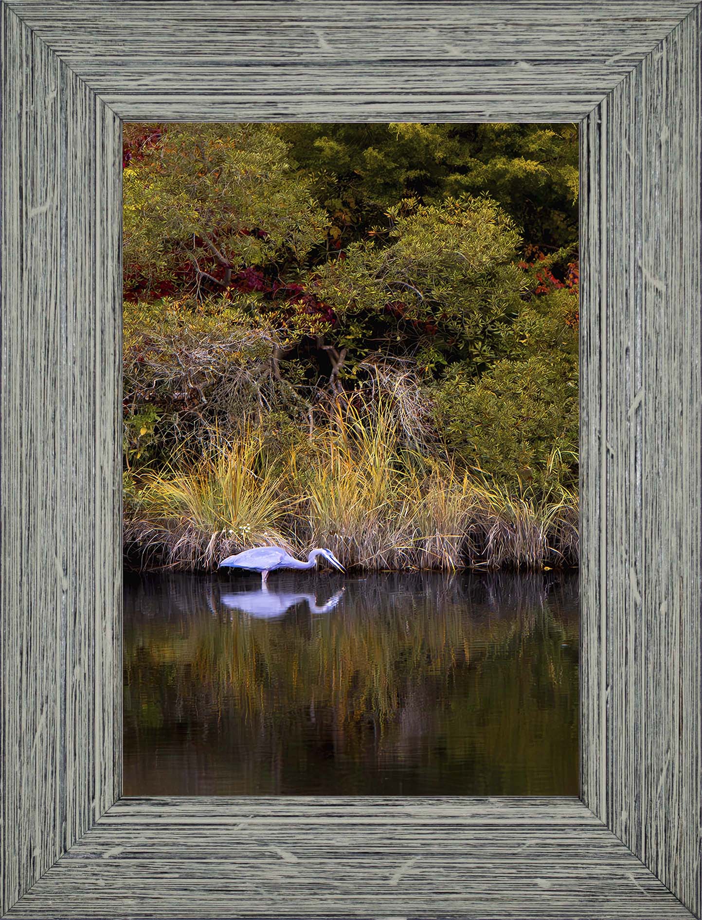 Cadle Creek Heron Striking (Portrait) -- Digital Print