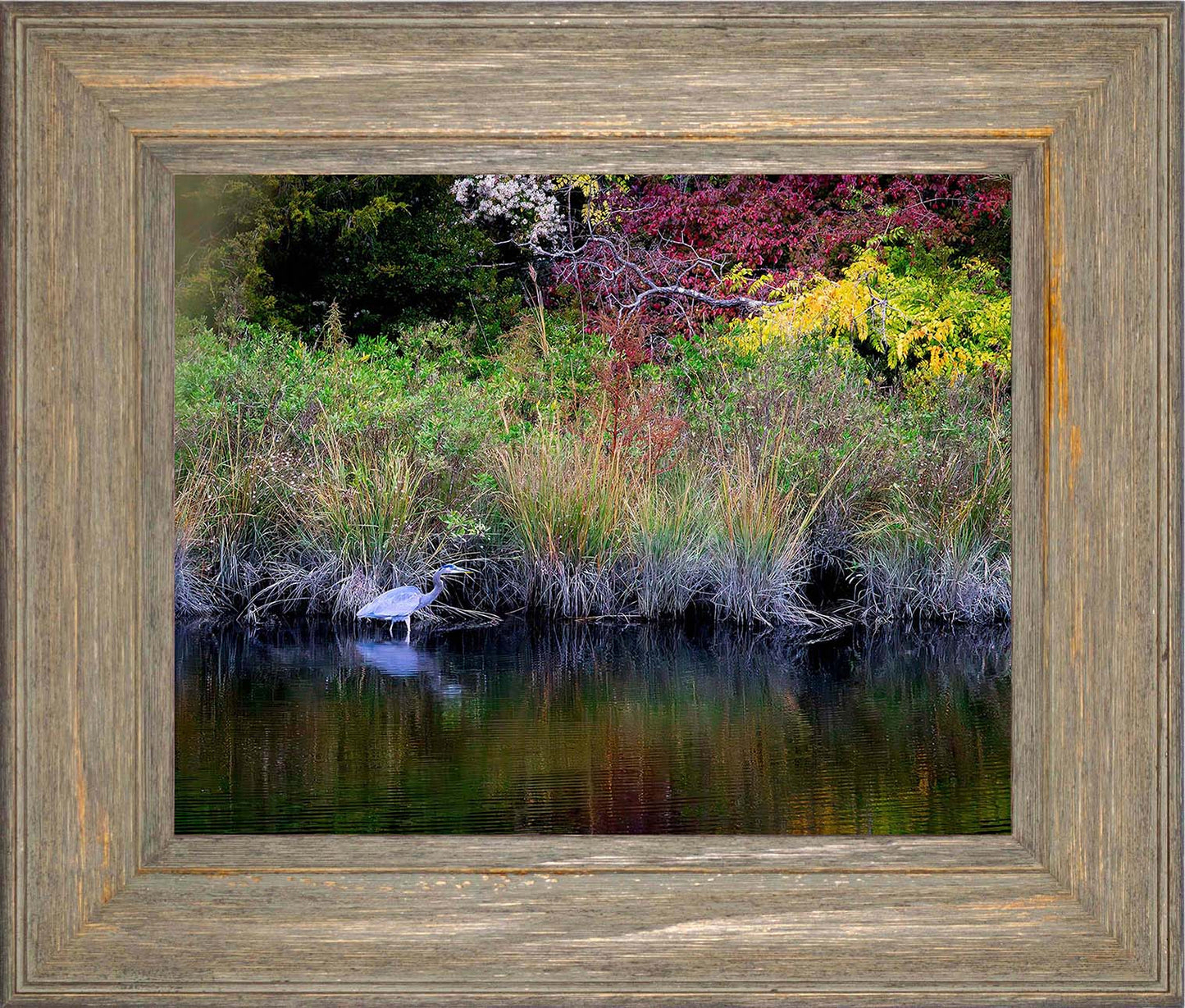 Cadle Creek Heron (Landscape) -- Digital Print