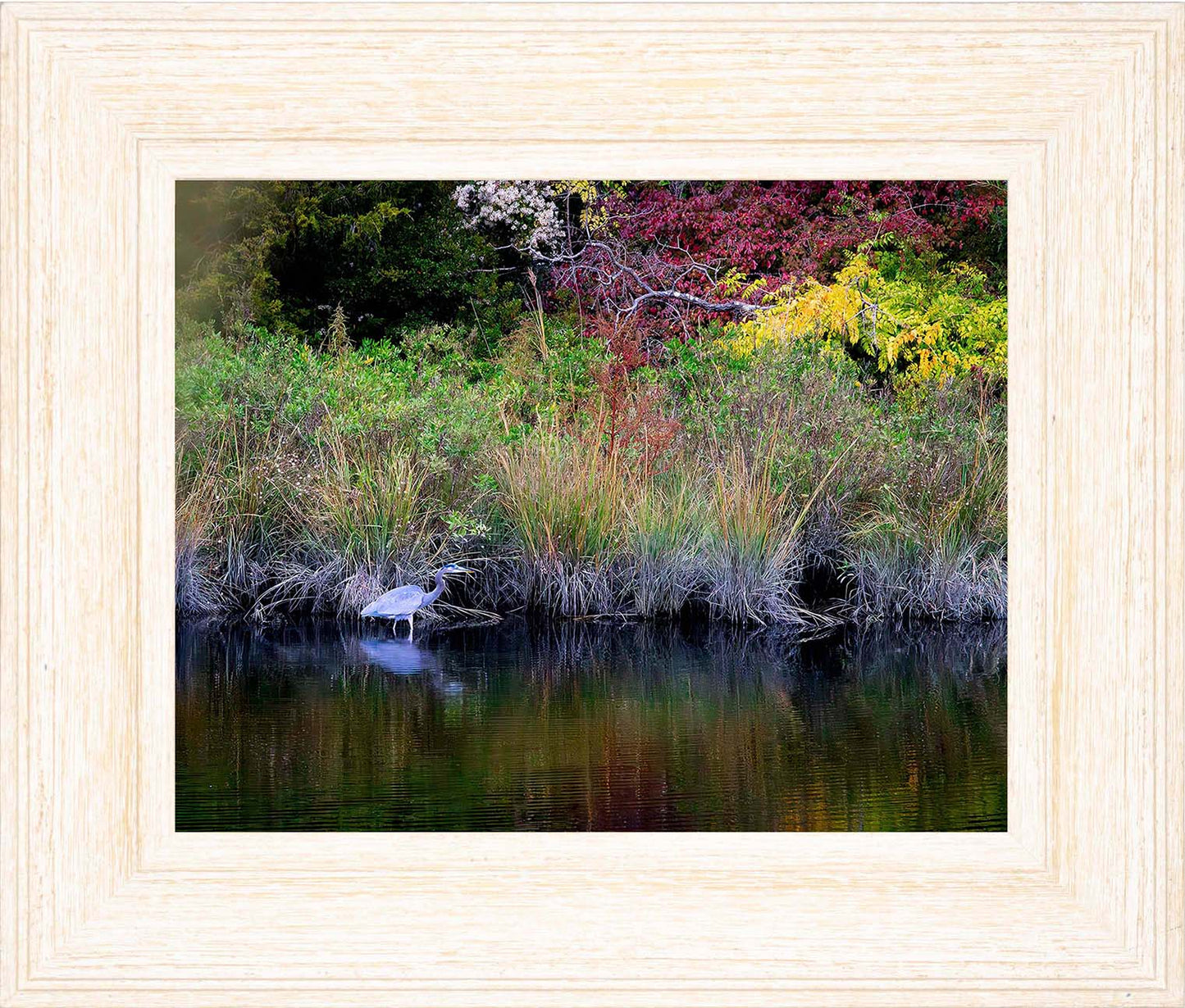 Cadle Creek Heron (Landscape) -- Digital Print