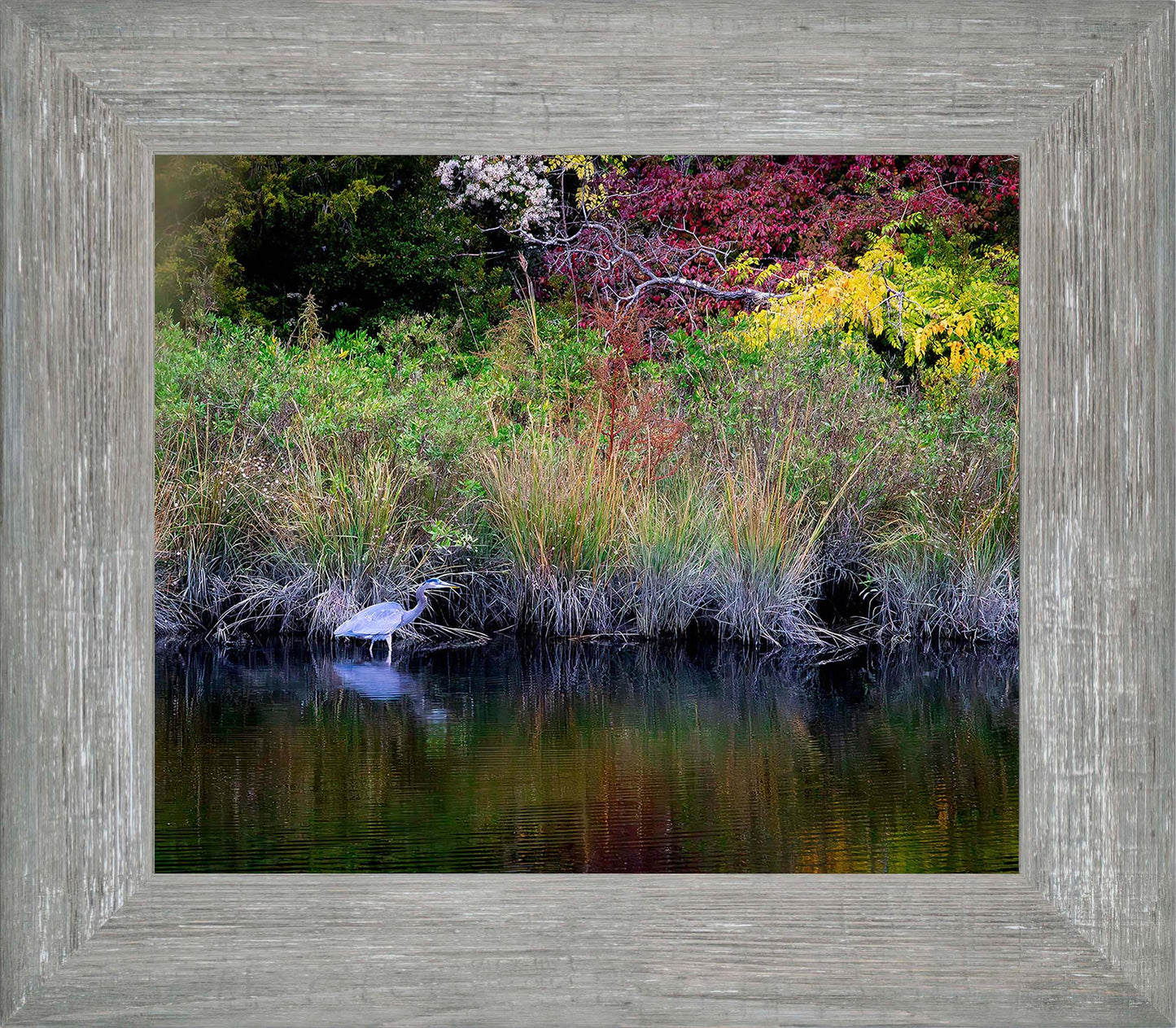 Cadle Creek Heron (Landscape) -- Digital Print