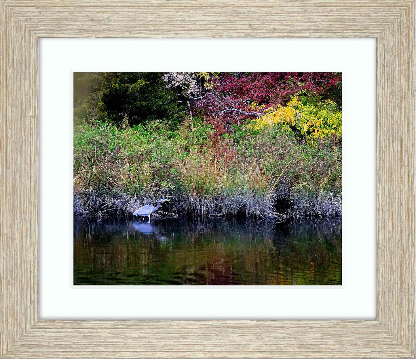 Cadle Creek Heron (Landscape) -- Digital Print