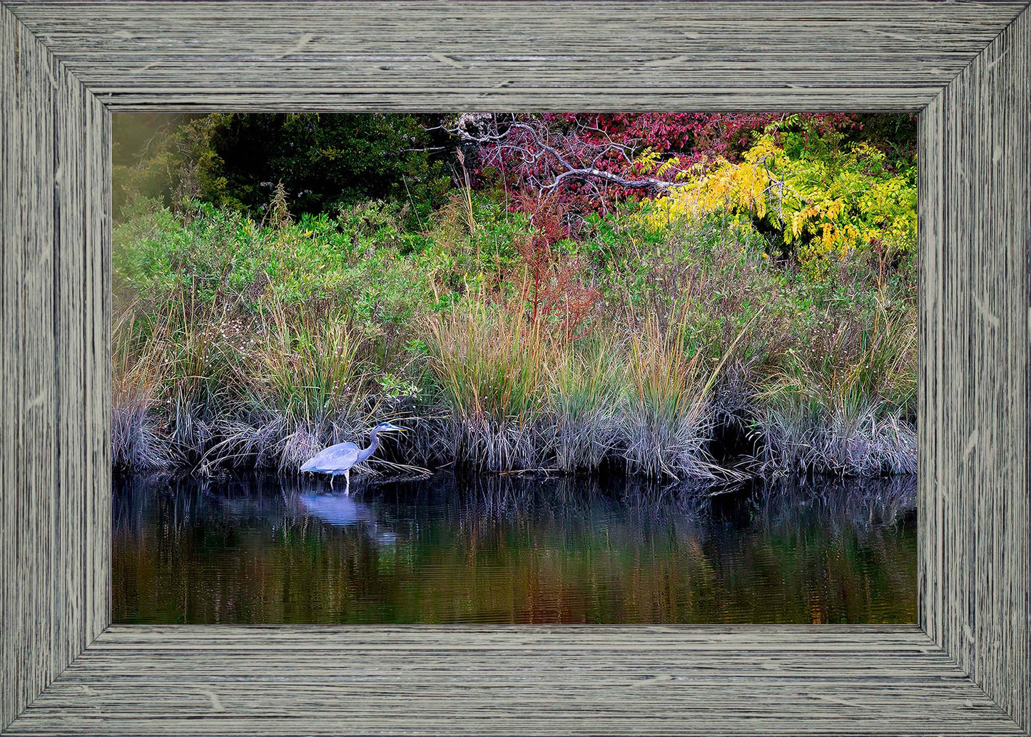 Cadle Creek Heron (Landscape) -- Digital Print
