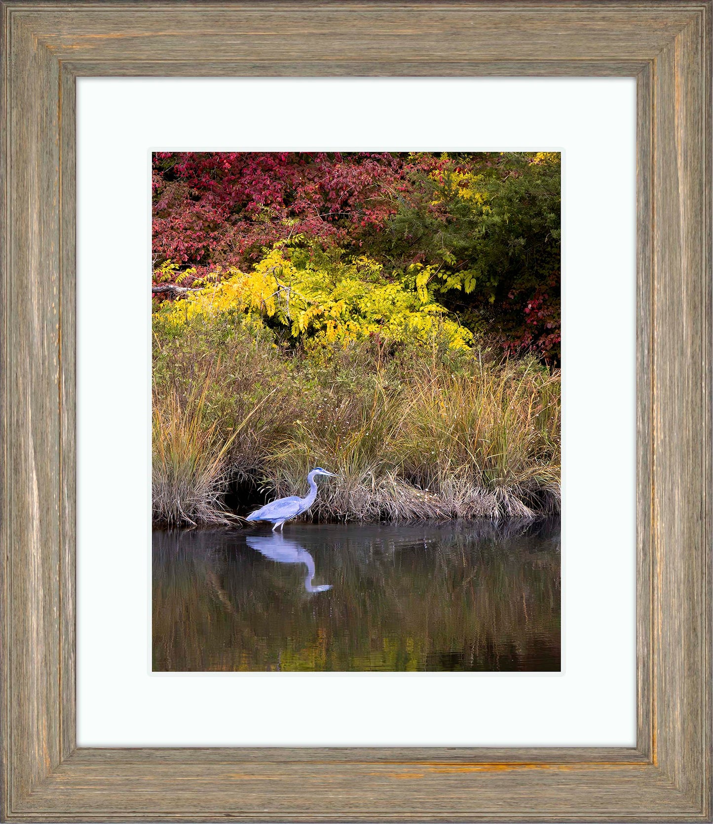 Cadle Creek Heron (Portrait) -- Digital Print