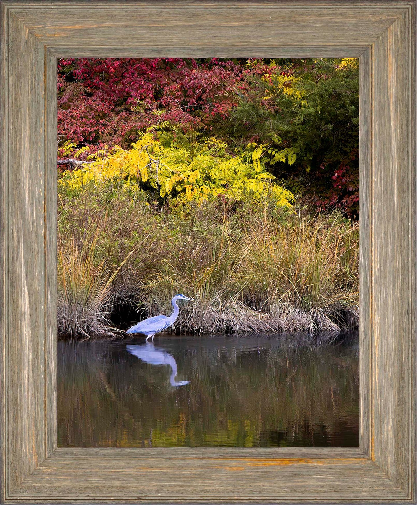 Cadle Creek Heron (Portrait) -- Digital Print