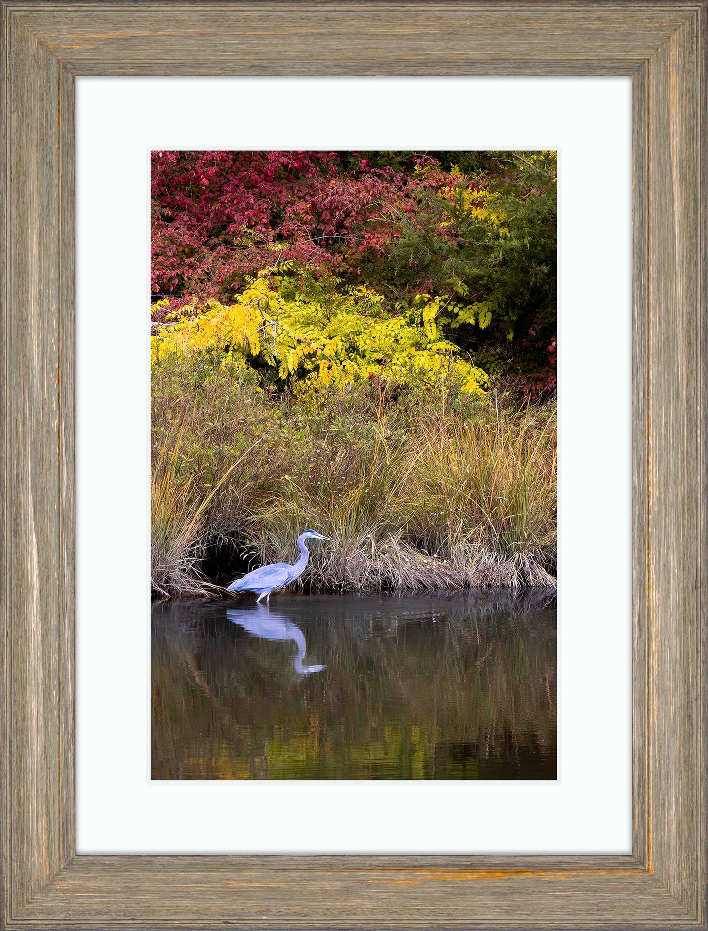 Cadle Creek Heron (Portrait) -- Digital Print