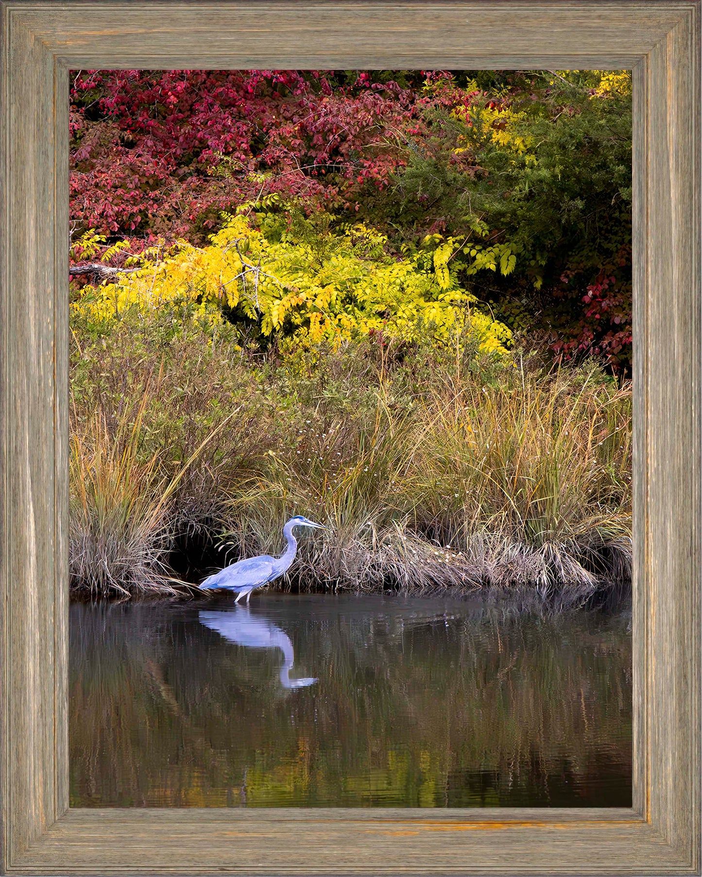 Cadle Creek Heron (Portrait) -- Digital Print