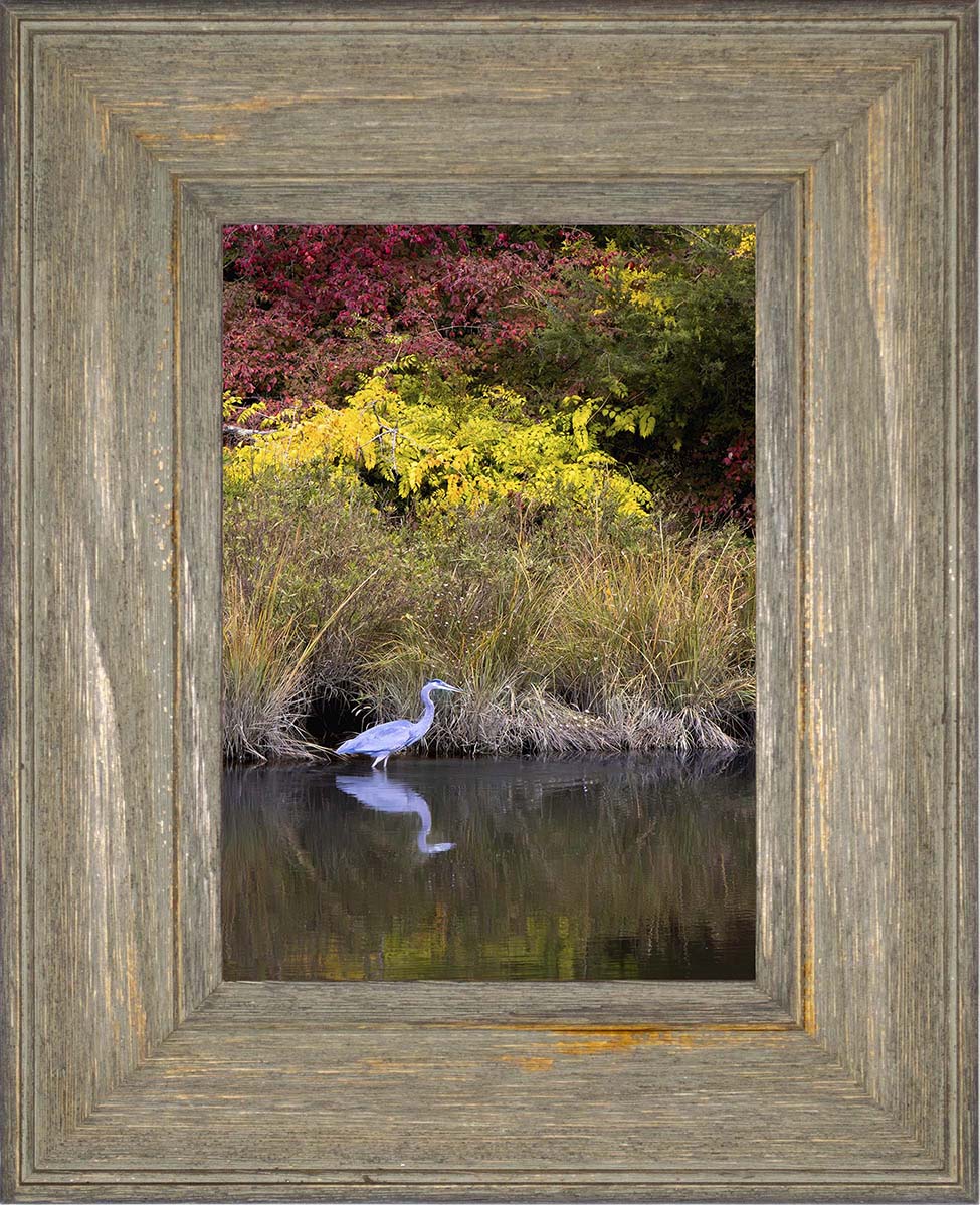 Cadle Creek Heron (Portrait) -- Digital Print