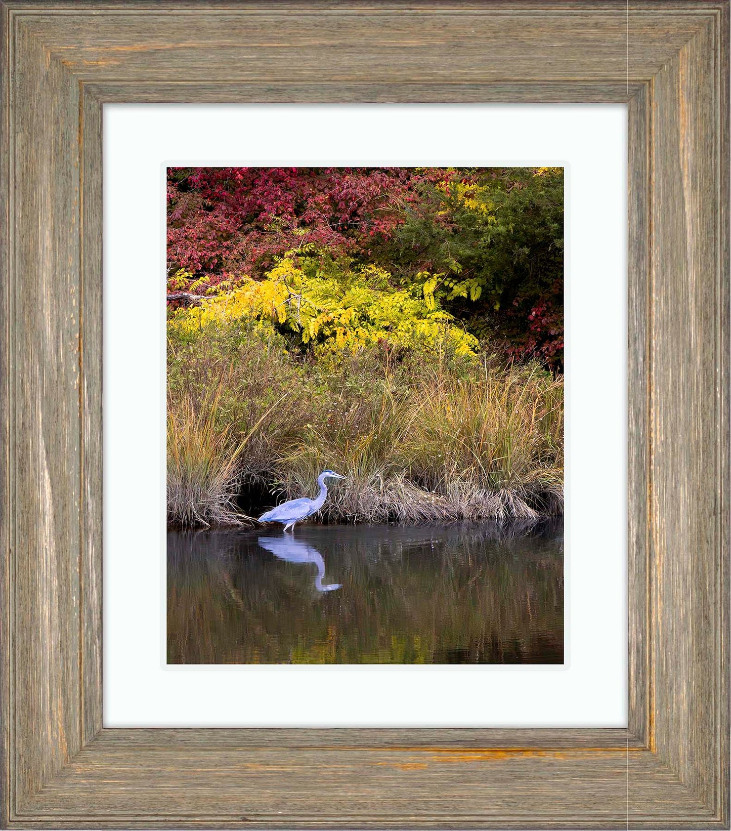 Cadle Creek Heron (Portrait) -- Digital Print