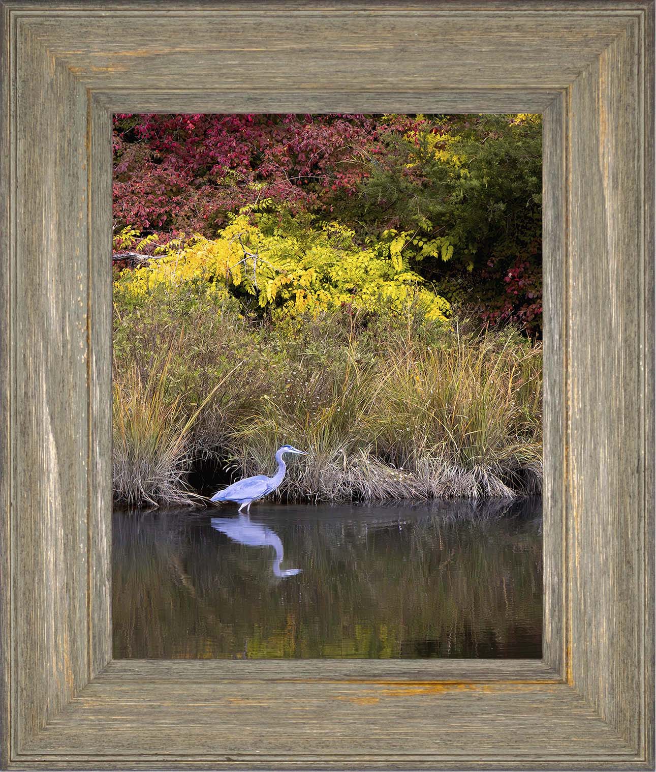 Cadle Creek Heron (Portrait) -- Digital Print